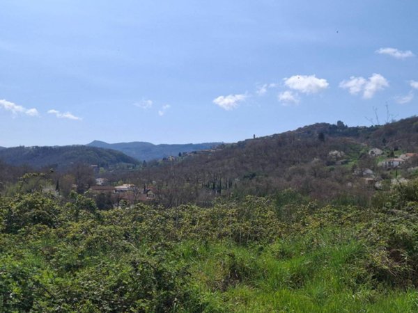 terreno agricolo in vendita a Castel del Piano