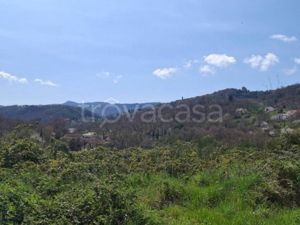 terreno agricolo in vendita a Castel del Piano