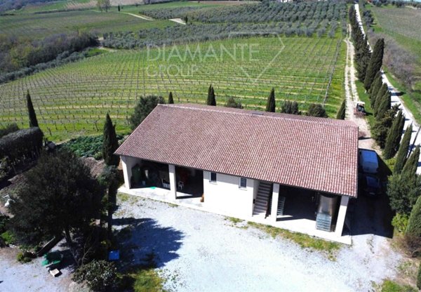 pentavano in vendita a Castel del Piano