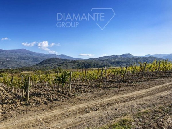 terreno agricolo in vendita a Castel del Piano