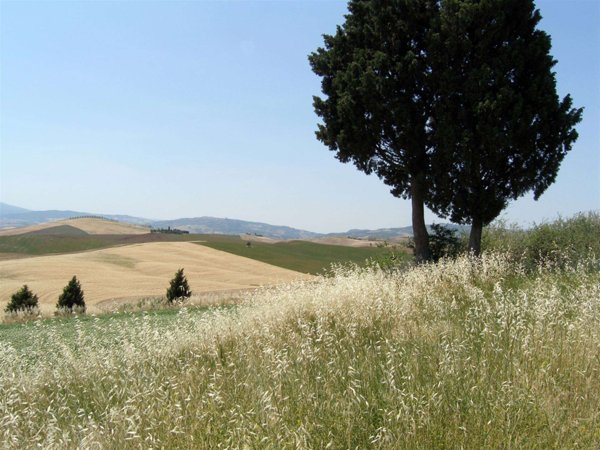 appartamento in vendita a Castel del Piano