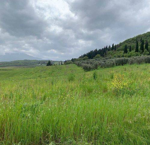 terreno agricolo in vendita a Castel del Piano