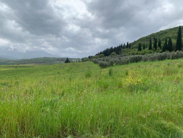 terreno agricolo in vendita a Castel del Piano