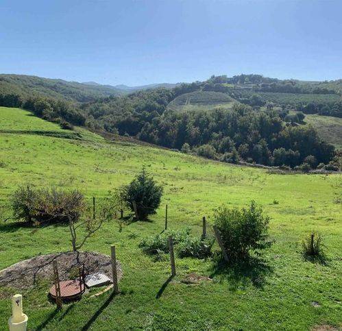 terreno agricolo in vendita a Castel del Piano