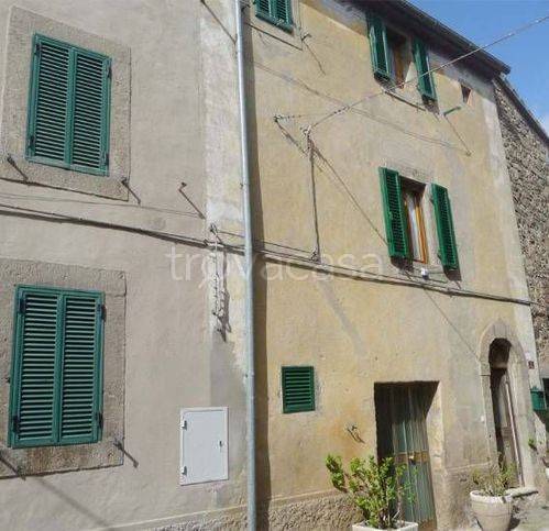 casa indipendente in vendita a Castel del Piano in zona Montegiovi