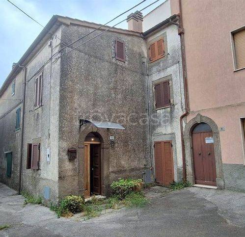 casa indipendente in vendita a Castel del Piano