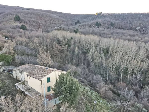 casa indipendente in vendita a Castel del Piano in zona Montegiovi