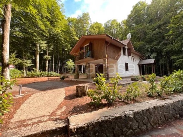 casa indipendente in vendita a Castel del Piano in zona Prato delle Macinaie