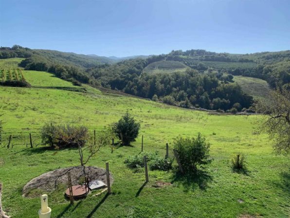 terreno agricolo in vendita a Castel del Piano