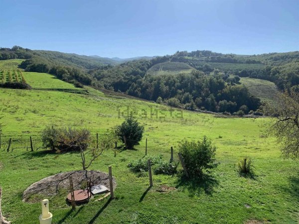 terreno agricolo in vendita a Castel del Piano
