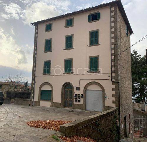 appartamento in vendita a Castel del Piano