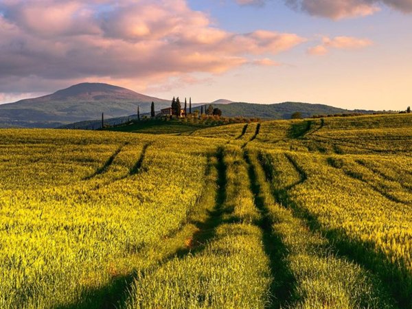terreno agricolo in vendita a Castel del Piano