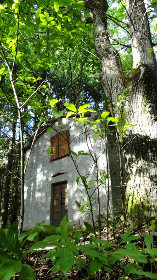 appartamento in vendita a Castel del Piano