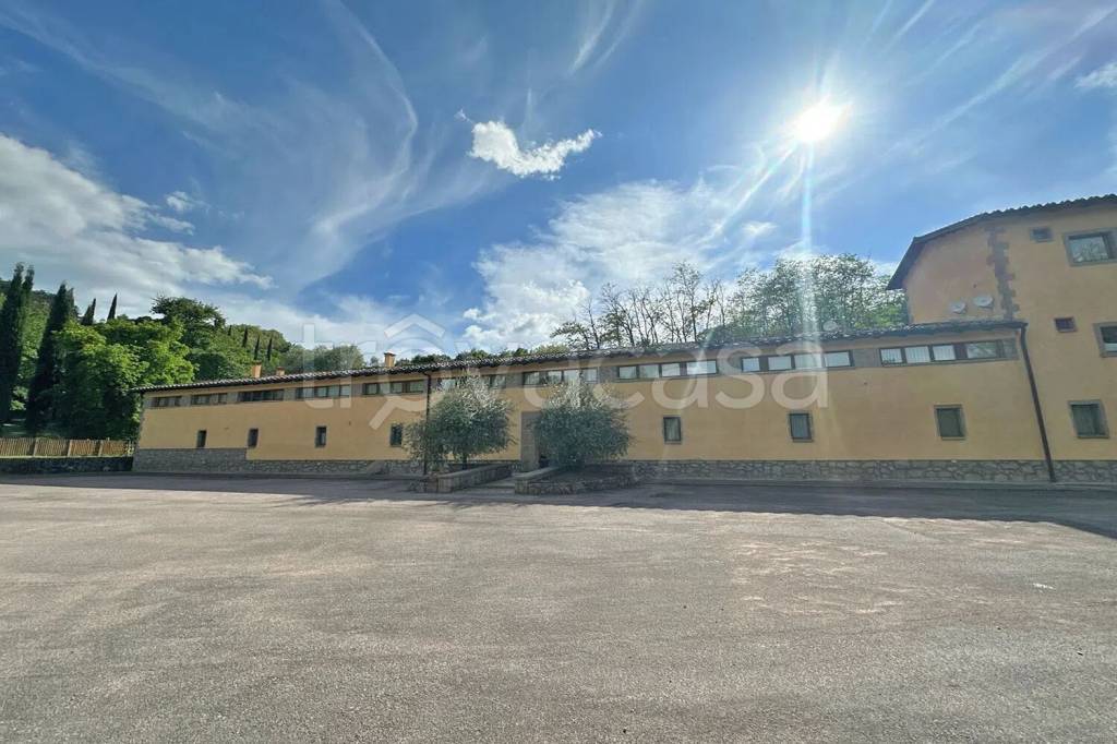 appartamento in vendita a Castel del Piano in zona Montegiovi