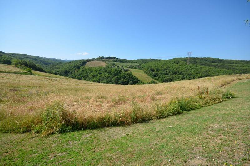 terreno agricolo in vendita a Castel del Piano