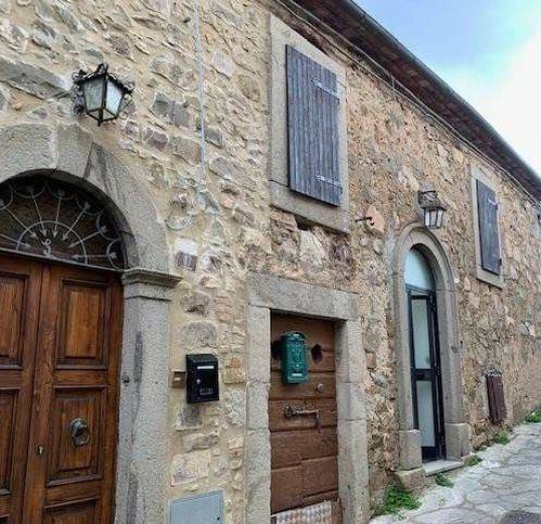 appartamento in vendita a Castel del Piano in zona Montegiovi