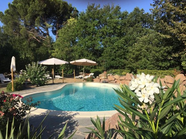 casa indipendente in vendita a Castel del Piano