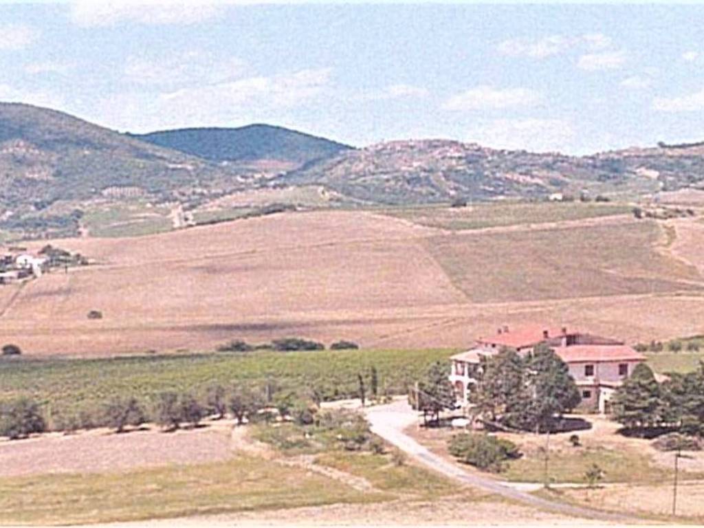 azienda agricola in vendita a Castel del Piano