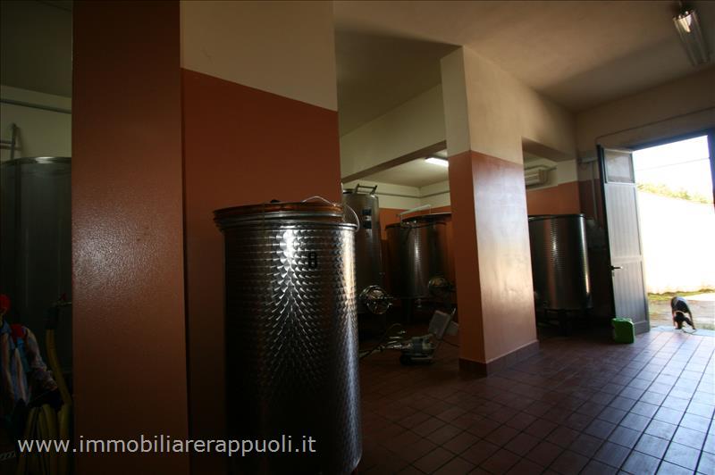 casa indipendente in vendita a Castel del Piano