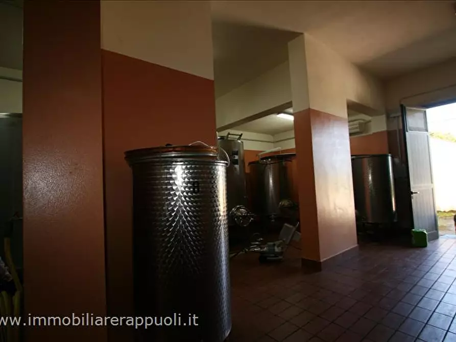 negozio in vendita a Castel del Piano