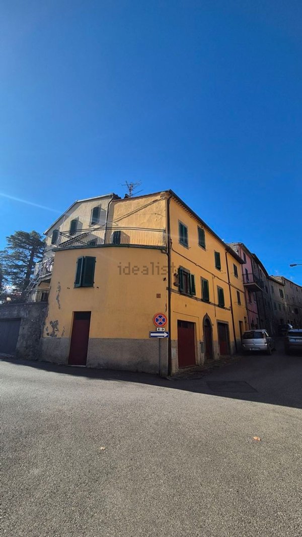 casa indipendente in vendita a Castel del Piano