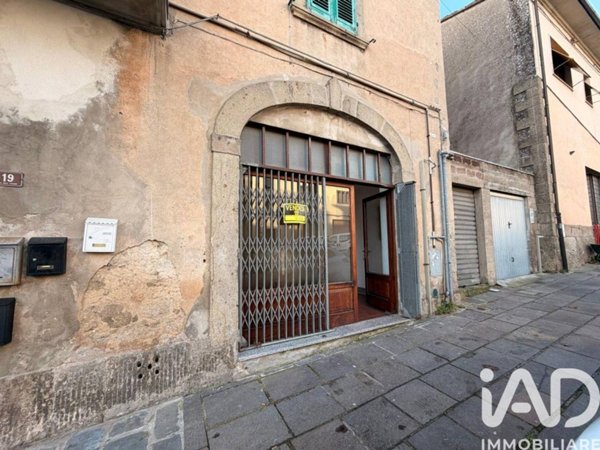 casa semindipendente in vendita a Castel del Piano