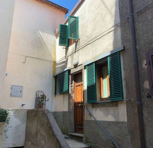 casa semindipendente in vendita a Castel del Piano