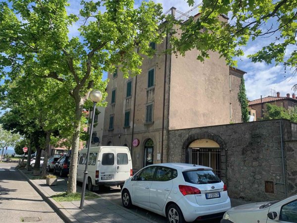 appartamento in vendita a Castel del Piano