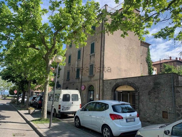 appartamento in vendita a Castel del Piano