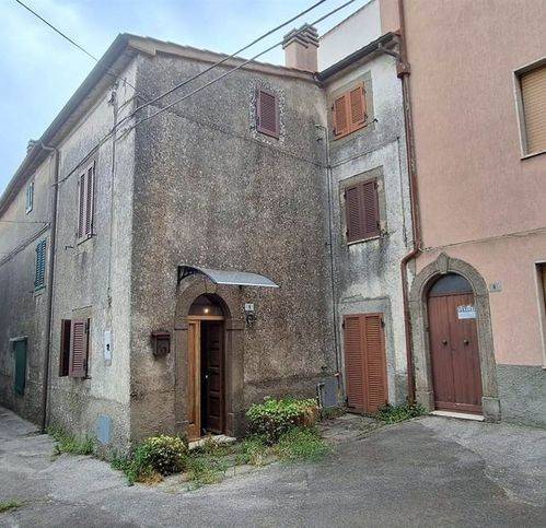 casa semindipendente in vendita a Castel del Piano