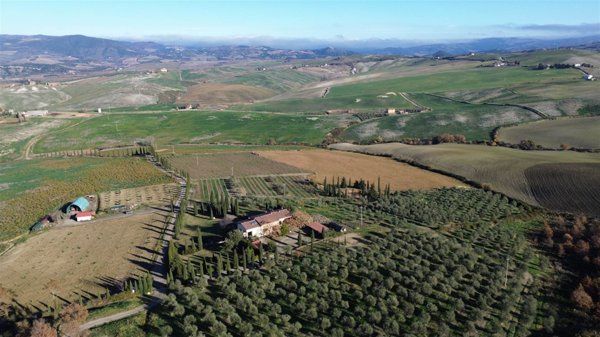 azienda agricola in vendita a Castel del Piano