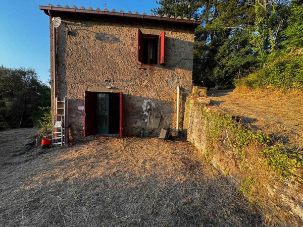 casa indipendente in vendita a Castel del Piano in zona Montegiovi