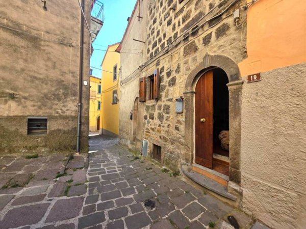 casa indipendente in vendita a Castel del Piano