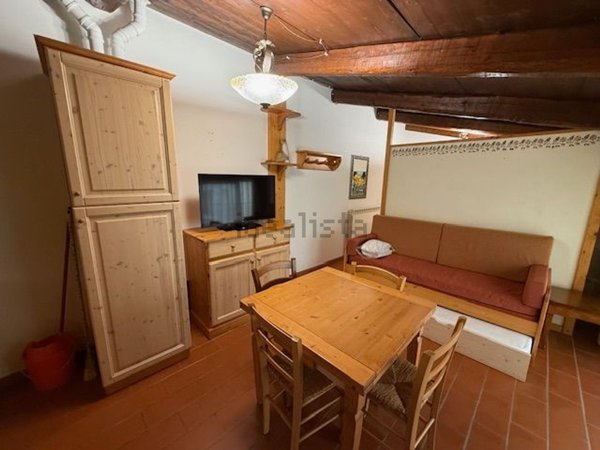 appartamento in vendita a Castel del Piano in zona Montegiovi