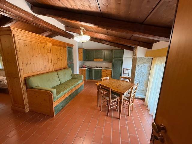 appartamento in vendita a Castel del Piano in zona Montegiovi