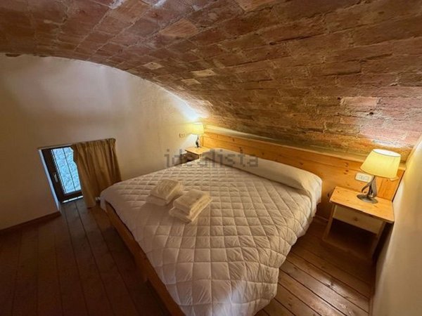 appartamento in vendita a Castel del Piano in zona Montegiovi