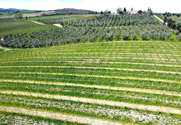 terreno agricolo in vendita a Castel del Piano in zona Montegiovi