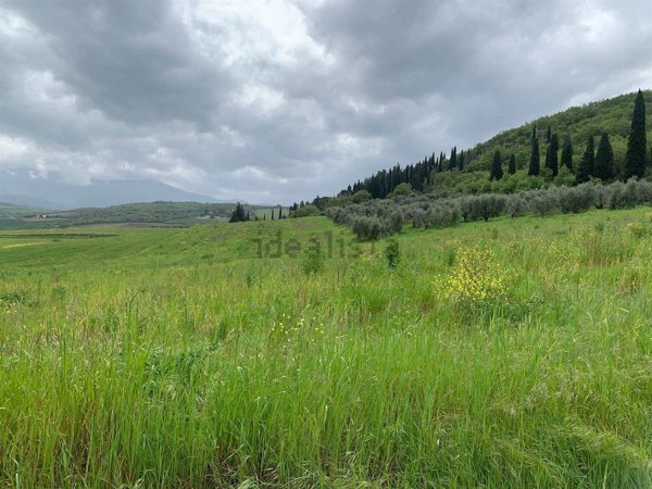 terreno agricolo in vendita a Castel del Piano in zona Montegiovi