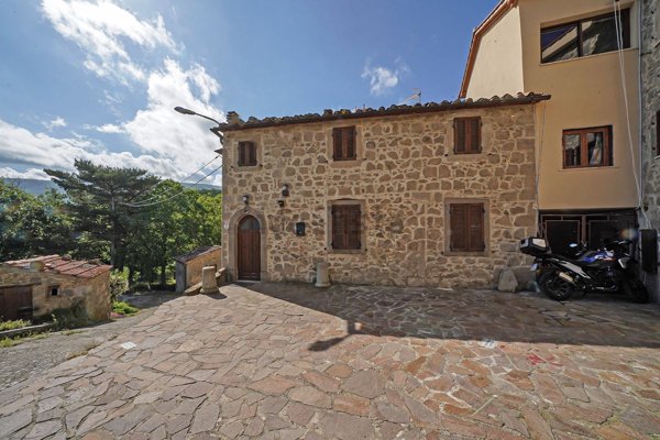 casa indipendente in vendita a Castel del Piano in zona Montegiovi