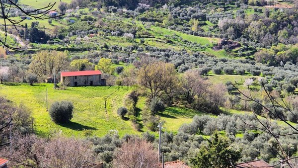 appartamento in vendita a Castel del Piano in zona Montegiovi