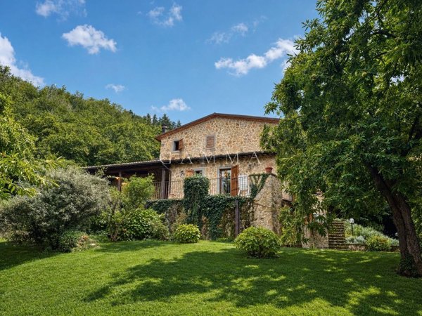 casa indipendente in vendita a Castel del Piano in zona Montegiovi