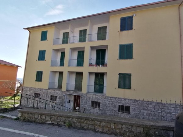 appartamento in vendita a Castell'Azzara in zona Selvena