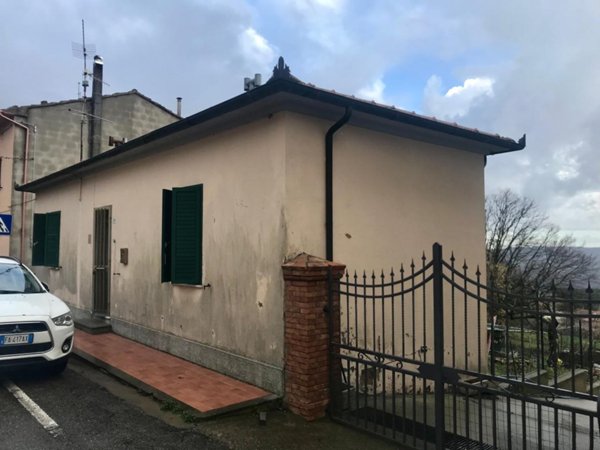 casa indipendente in vendita a Castell'Azzara in zona Selvena