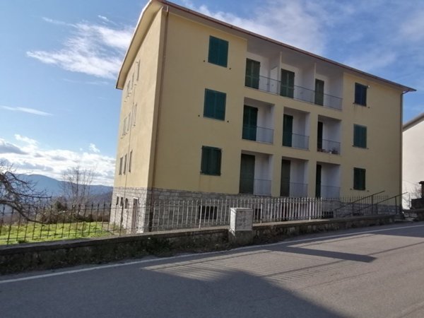 appartamento in vendita a Castell'Azzara in zona Selvena