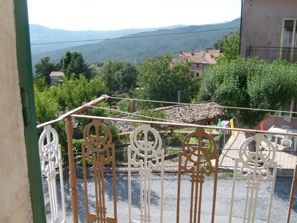 appartamento in vendita a Castell'Azzara in zona Selvena