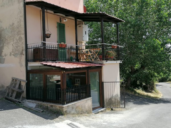 casa indipendente in vendita a Castell'Azzara in zona Selvena