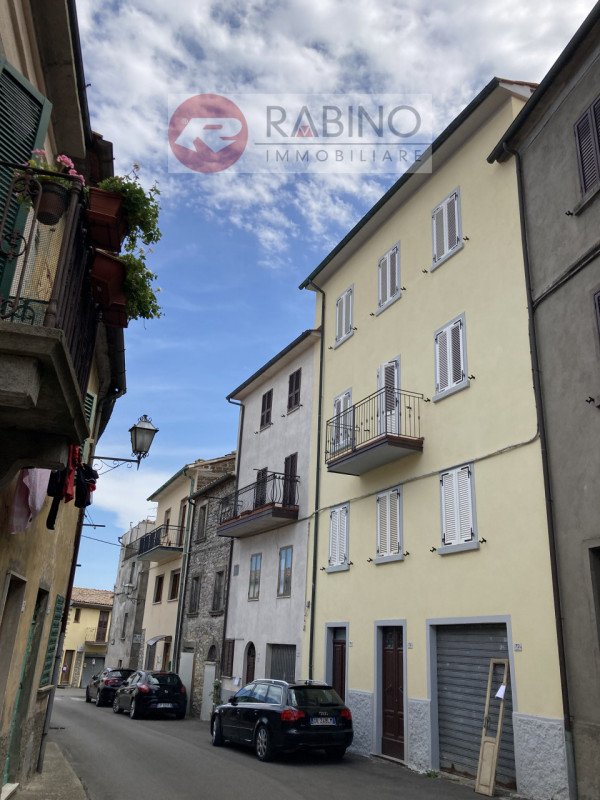 appartamento in vendita a Castell'Azzara