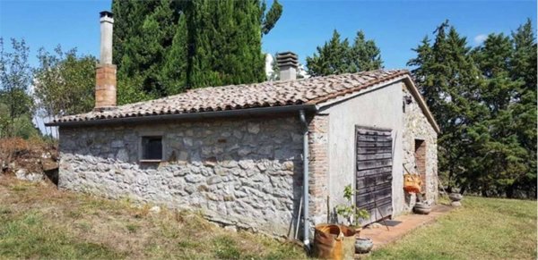 azienda agricola in vendita a Castell'Azzara