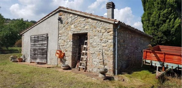 azienda agricola in vendita a Castell'Azzara