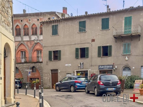 appartamento in vendita a Castell'Azzara